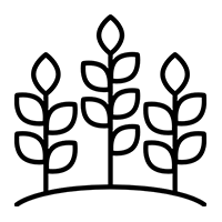 crop