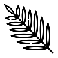 palm