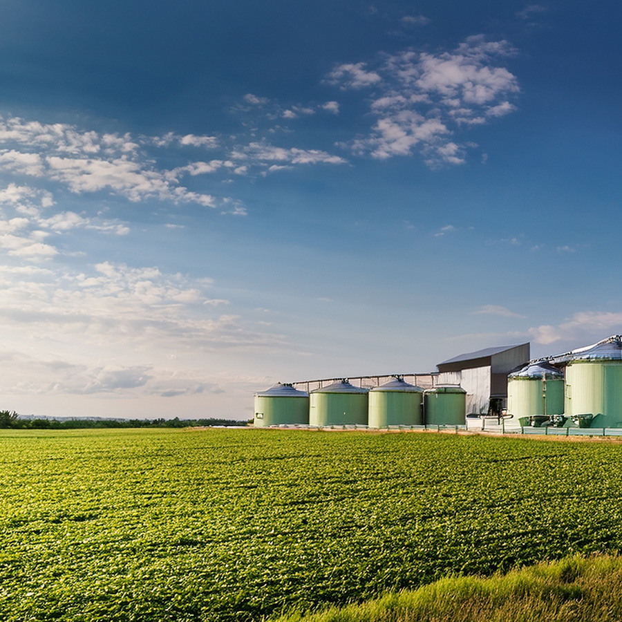 timeline biofuel industria
